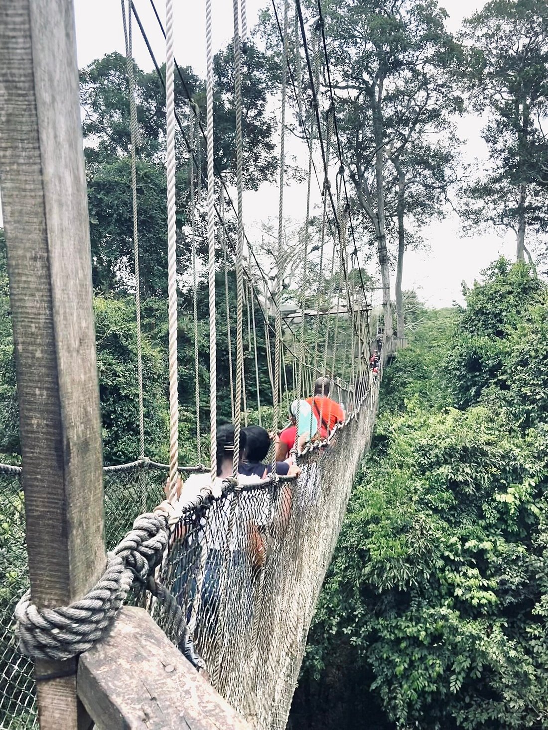 Home ba tours ghana private (2)