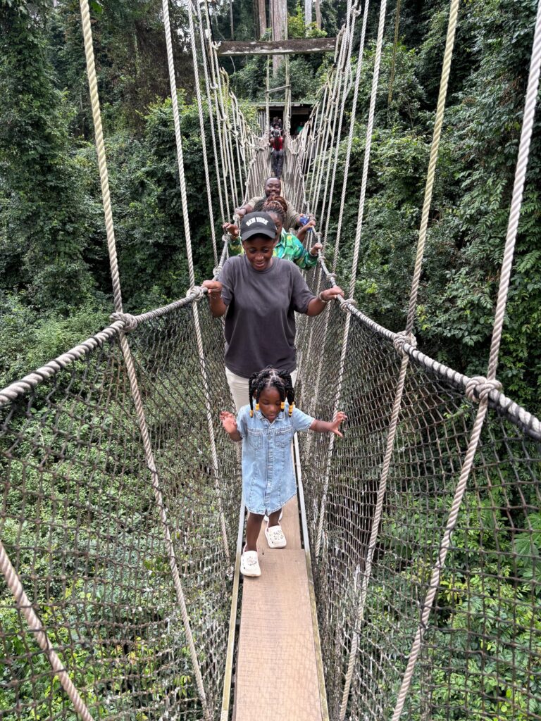 c1cbf7f7 ec77 49ec 8753 df9f8230ad90